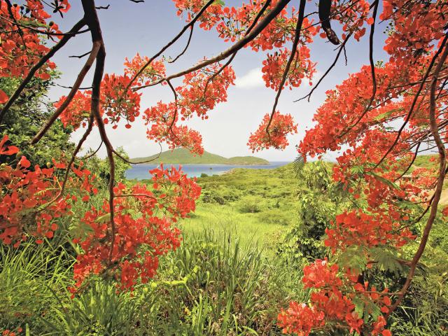 Tamarind_Bay