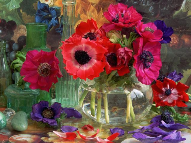 Anemone_Flowers