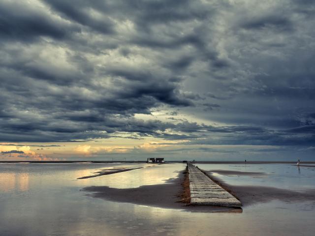 Eucalyptus_Beach