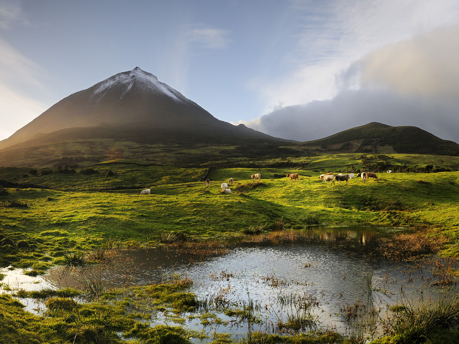 Volcano_Pico