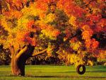 Tire_Swing_in_Autumn