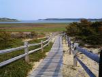 Boardwalk_Along