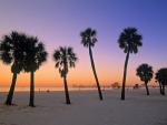 Clearwater_Beach