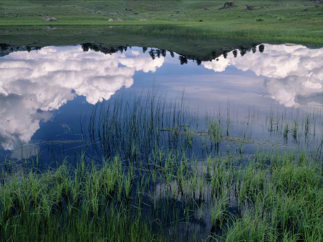 Clouds_Reflected_in
