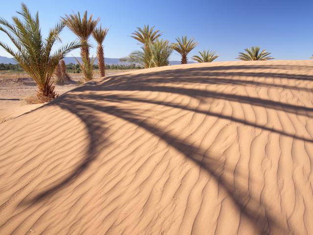 Draa_Valley_Morocco
