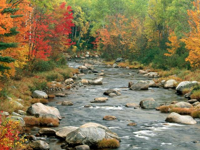 Autumn_Color_02