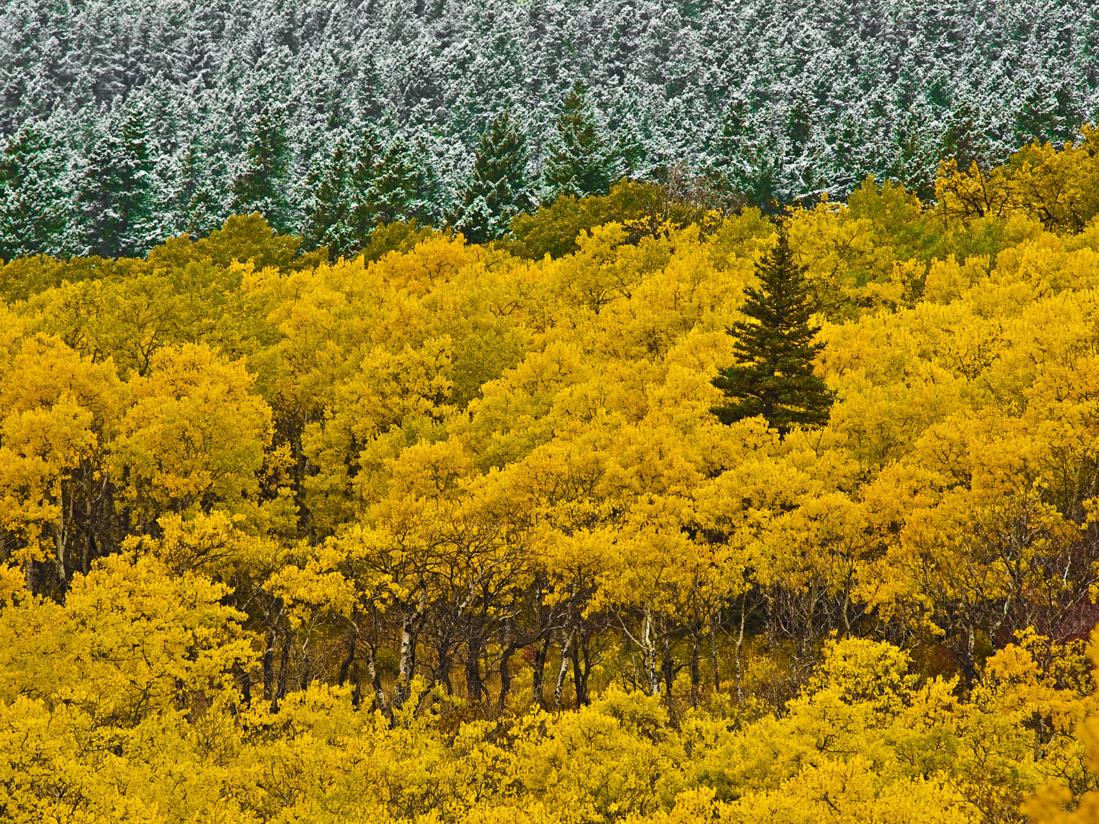 Autumn_Glacier_Montana