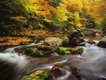Autumn_Flow_North