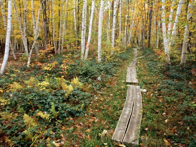 Boardwalk_Sieur_de