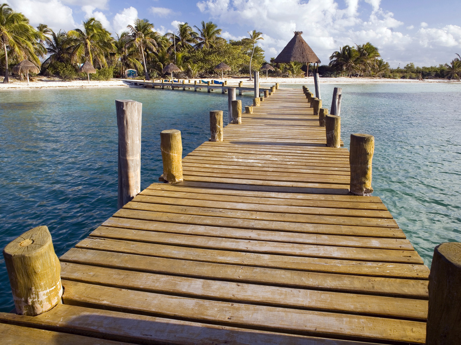 Isla_Contoy