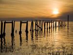 Sunset_Pier_Florida