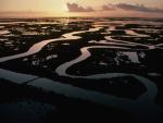 Mississippi_River_Delta