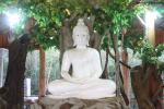 waphukaew12_310