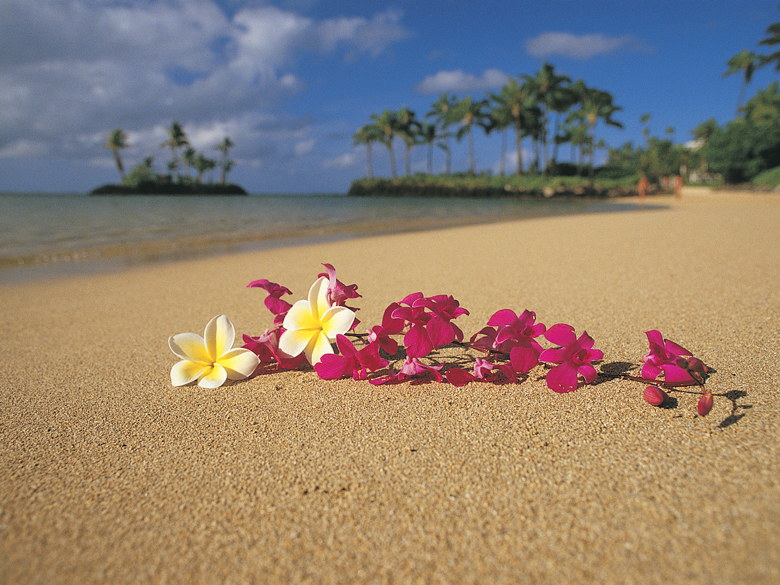 Polynesian_Paradise