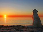 Ditte_at_Sunset