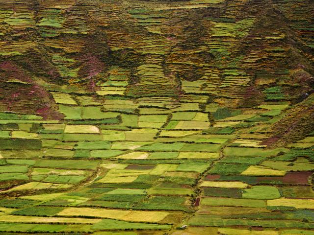 Incan_Terraces