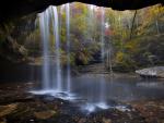Sipsey_Wilderness