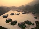 Giant_Tortoises