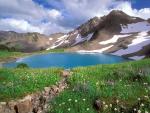 Alpine_Tranquility