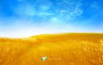 windows_8_010