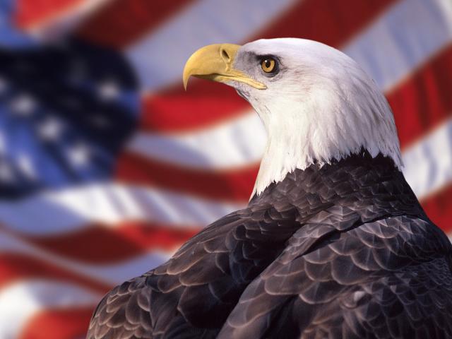 American_Eagle