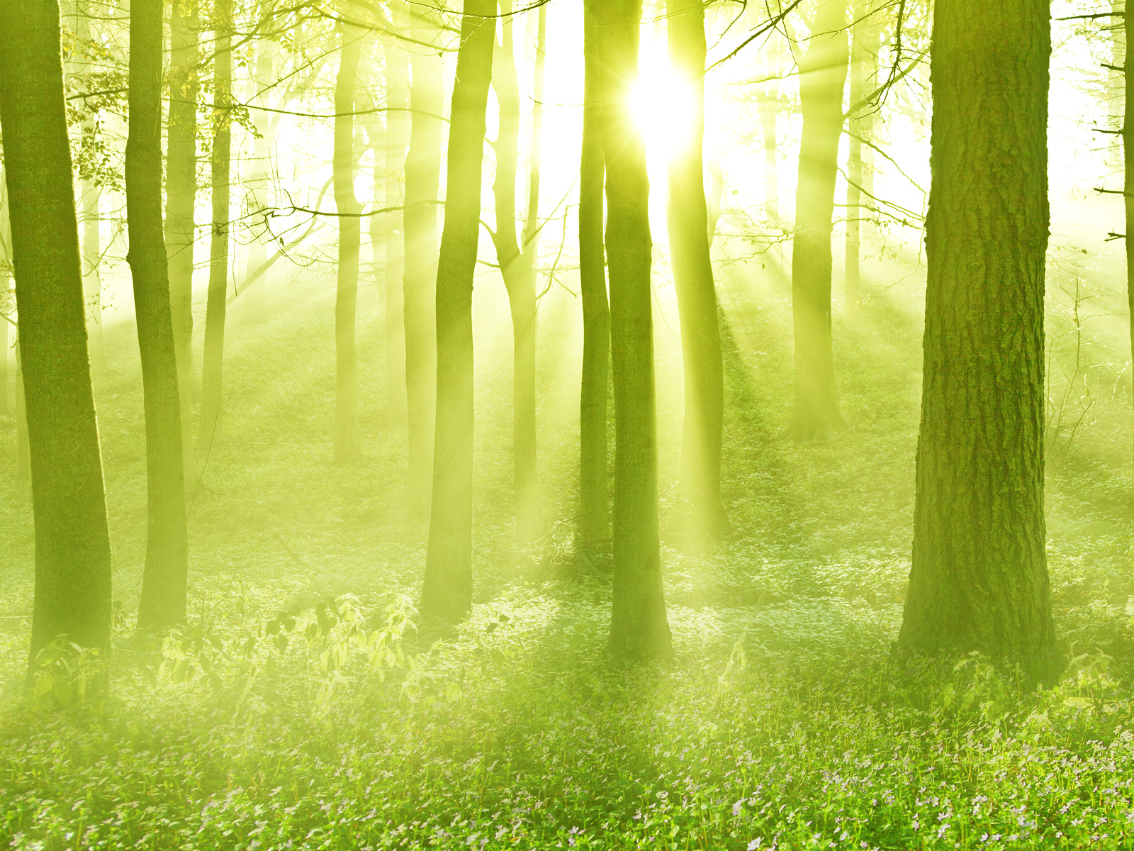 Gods_Rays_Scotland