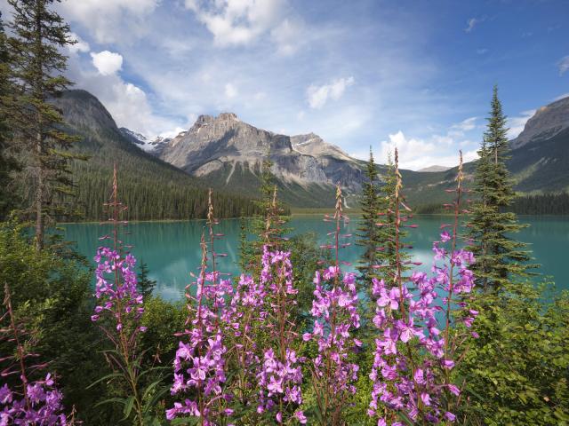 Emerald_Lake_Yoho