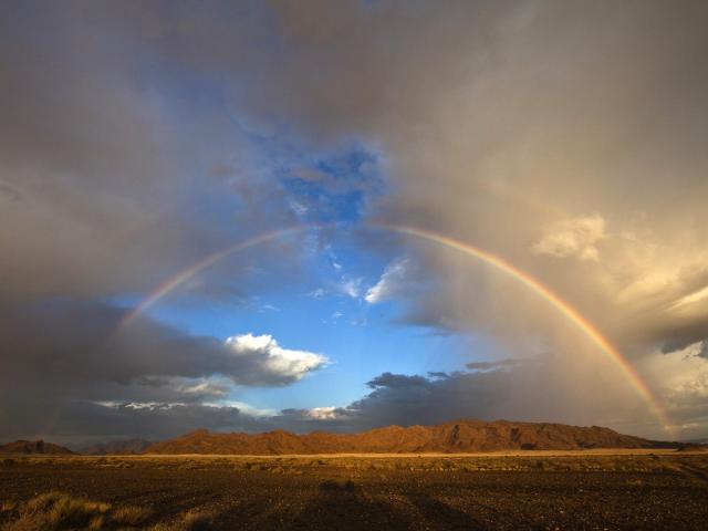Namib-Naukluft