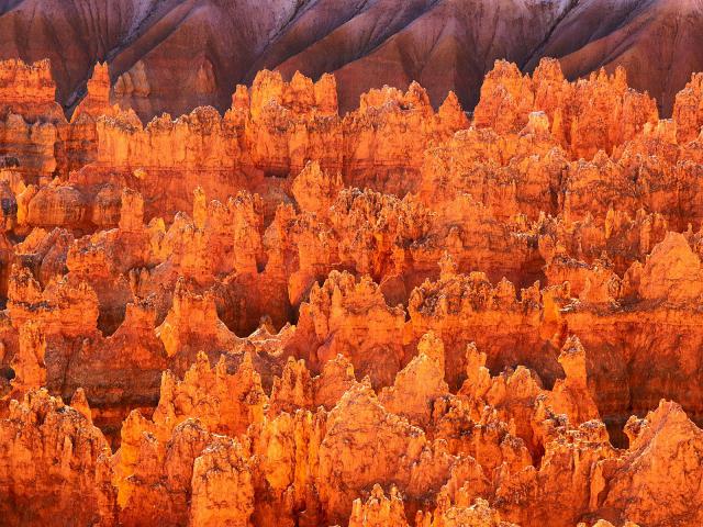 Hoodoos_Bryce_Canyon