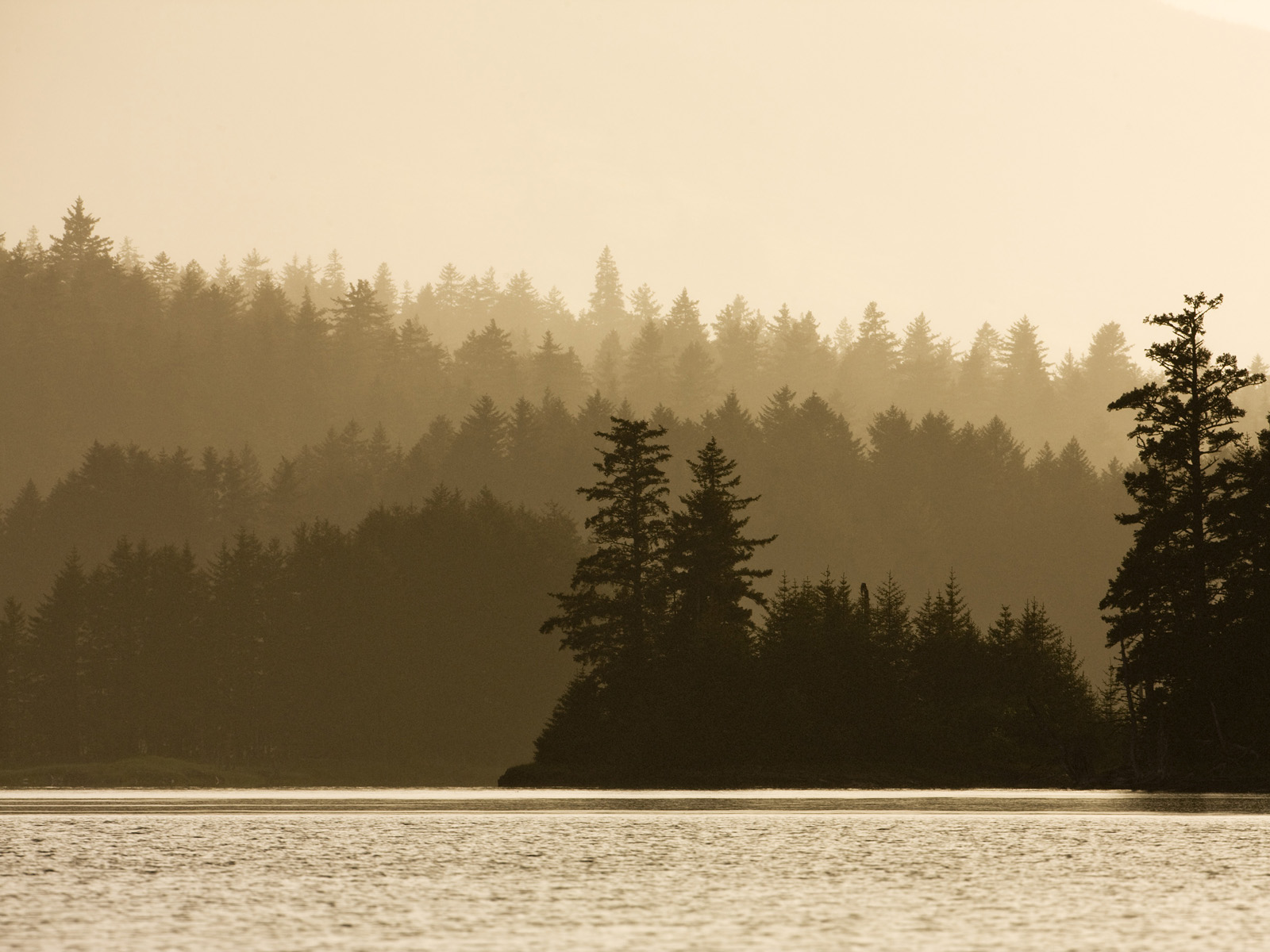 Kodiak_Island_a