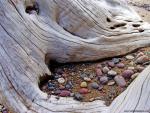 Nature Wallpapers