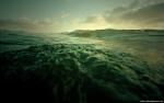 Nature_028