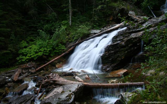 Nature_034