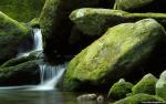 Nature_041