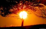 Nature_058