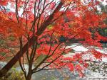Nature_059