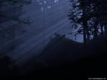 Nature_091