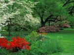 Nature_097