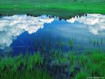 Nature_100
