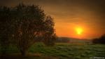 Nature_120
