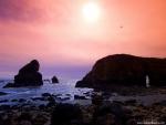 Nature_164