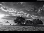 Nature_190