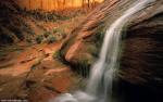 Nature_220