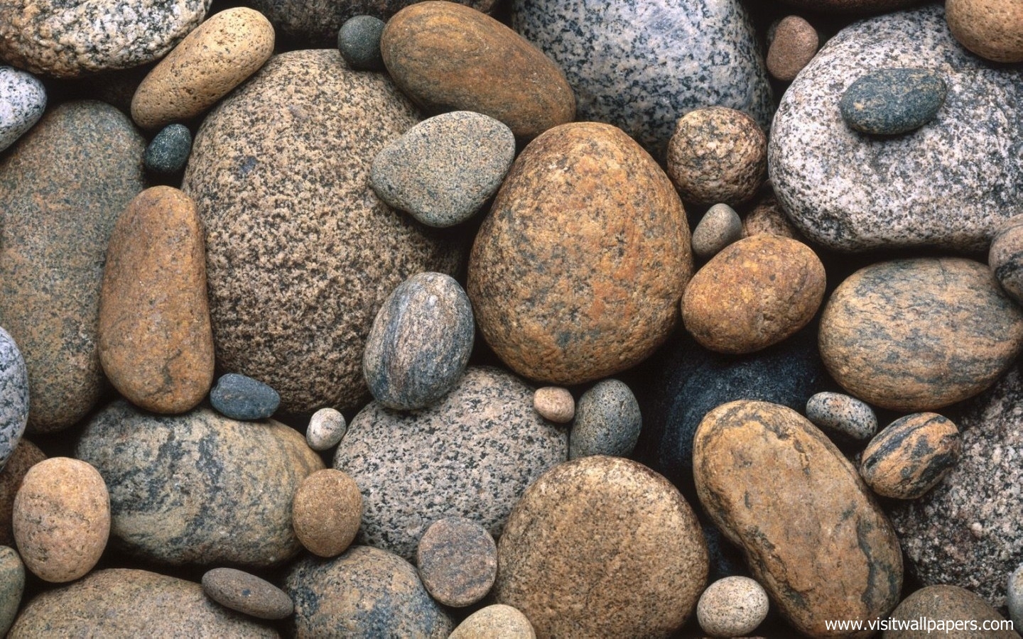 363