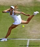 sharapova_43