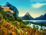 New_Zealand_047