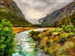 New_Zealand_051