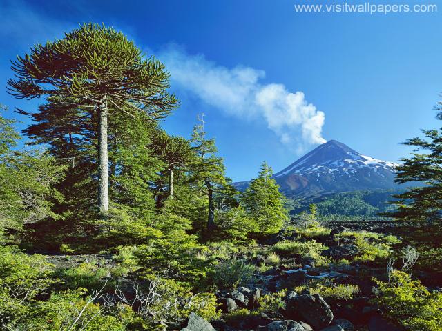 force_of_nature_49