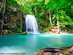 waterfalls_224