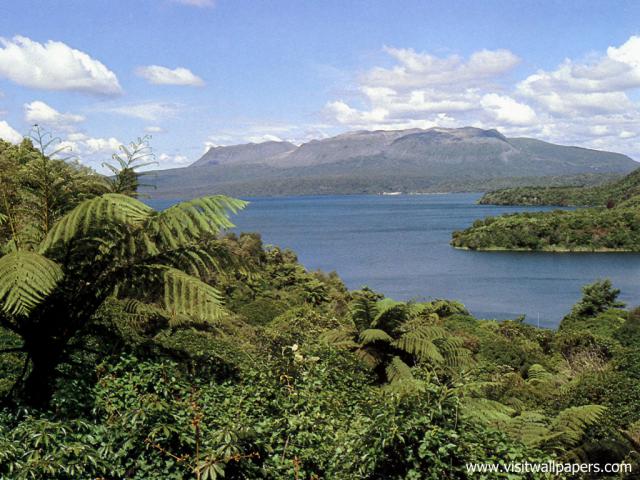 New_Zealand_075